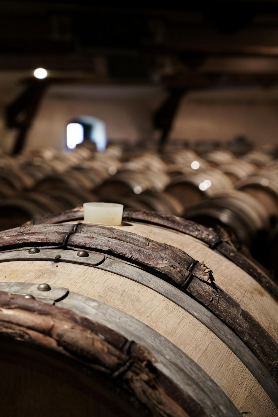 Wine cellar experience